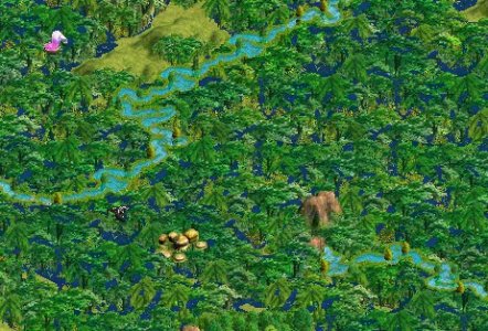 swamp.jpg