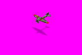 sturmnew.gif