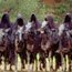 nazgul2.jpg