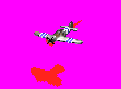 mustangruna.gif
