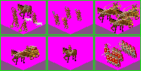 sample.gif