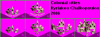 colonialsetbk.PNG