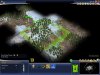 Tree Start.jpg