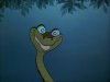 Kaa2.JPG