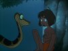 Kaa.JPG