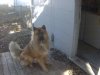 Cody111803.jpg