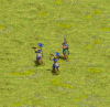 JagMon.GIF