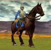 currassier.JPG
