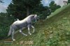 unicorn.JPG