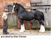 shire2.gif