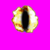 Sauron.gif