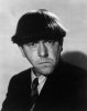 moe howard---7.jpg