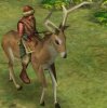 deer.JPG