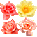 flowersforlyonesse.png
