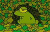 cyclop frog.jpg