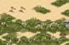 desert.jpg