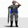 ST_Salute.gif