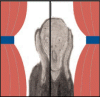 skriet.gif