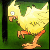 chocobo2.gif