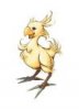CHOCOBO2.jpg