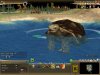 Tortoise.jpg