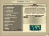 Impact Screen1.jpg