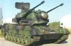 gepard.jpg