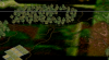 Afbeelding 3.png