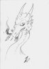 dragon.jpg