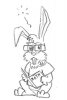 bunny.jpg