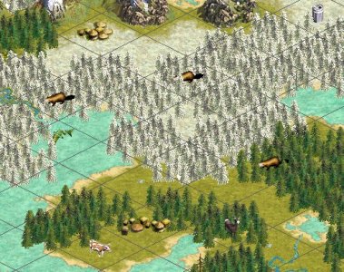 tundra.jpg