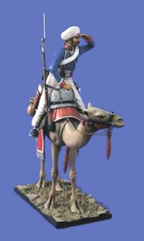 dromedary cavalier.jpg