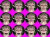 Alien_all.jpg