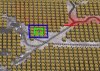 PlotLSystem Builing Example.JPG