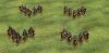 4cavalry.jpg