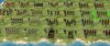 units.jpg