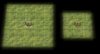 sentry.jpg