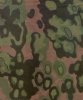 ss-camo.jpg