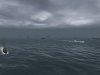 sh3img58200515351cb.jpg