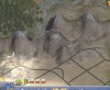 Civ4ScreenShot0003.JPG
