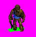 wookiepreview.gif