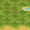 california terrain.jpg