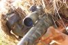 sniper6_low.jpg