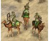 Camel.JPG