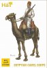 Egyptian Camel.jpg