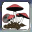 MUSHROOM3.png