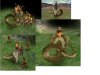 Ballista_Snake.jpg Ballista_Snake.jpg