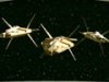 Talarian warship.jpg