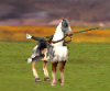 Picture 3.png