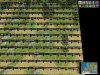 Civ4ScreenShot0035.JPG